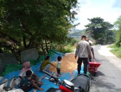 Dekat dengan Warga, Bhabinkamtibmas Kelurahan Nungga Bantu Petani Saat Panen Jagung