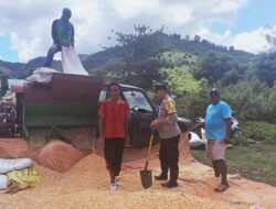 Bhabinkamtibmas Polsek Monta Bantu Penggilingan Jagung Milik Warga Binaan dalam Program Ketahanan Pangan Nasional