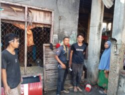 Beli Kambing Hasil Curian, Seorang Pria Diamankan Tim Opsnal Polsek Rasbar, Pelaku Utama Masih Diburu
