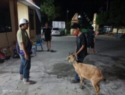 Team Opsnal Reskrim Polsek Rasanae Barat Amankan Dua Pelaku Pencurian Kambing saat Mobailing