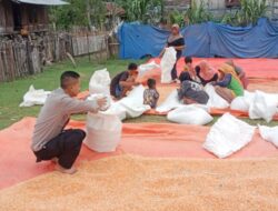 Bhabinkamtibmas Polres Bima Kota Pantau dan Bantu Warga Jemur Jagung di Desa Binaan