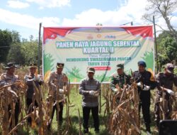 Polres Bima Kota Gelar Panen Raya Jagung Serentak Tahap Dua di Kelurahan Oimbo