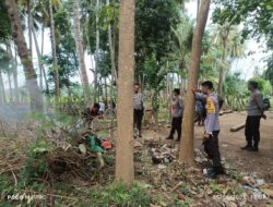 Polsek Lambu Bubarkan dan Bongkar Arena Sabung Ayam di Desa Melayu