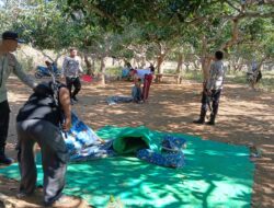 Polsek Wawo Bubarkan Kegiatan Perjudian Sabung Ayam dan Bola Adil di Desa Kambilo
